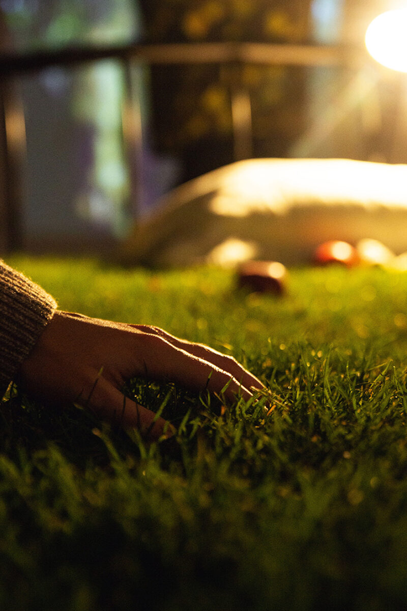 00 ej w tym moim ogródeczku deta